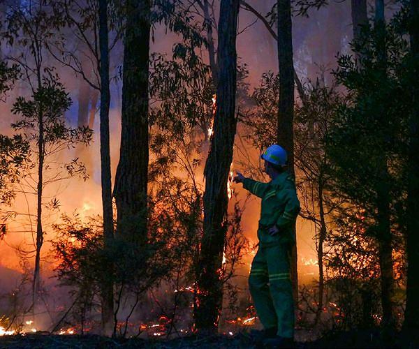 France wildfires force thousands to flee; Portugal's Madeira fire still raging