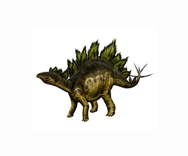 New stegosaurus dinosaur species is oldest discovered in Asia
