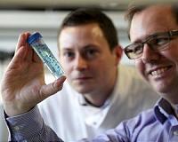 Seaweed offers the solution to transporting stem cells and wound treatment