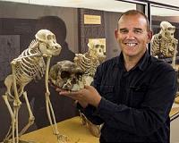 Body size increase did not play a role in the origins of Homo genus