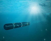 DCNS To Supply Torpedo Countermeasures For French Submarine Fleet