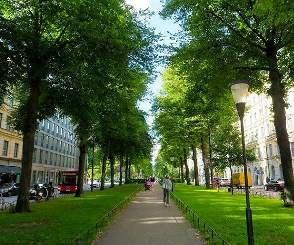Anti-ageing guru Bryan Johnson preaches to Stockholm VIPs