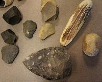 Complex cognition shaped the Stone Age hand axe