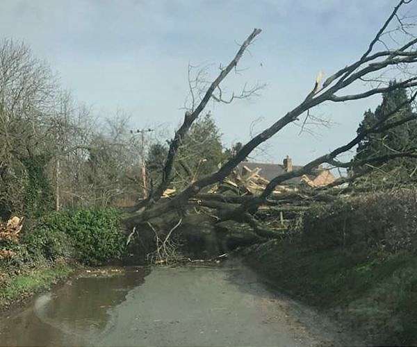 Storms devastate rice paddies in Italy's 'golden triangle'
