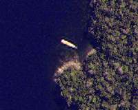 Stranded whales detected from space