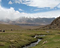 Rights groups warn KFC over Tibet opening