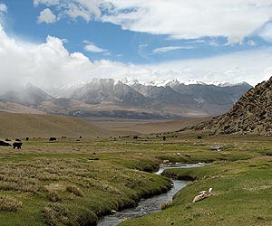 Tibetan poet gives voice to dead protesters in new book
