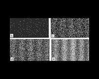 Experimental method measures quantum coherence, the ability of being in 2 states at once