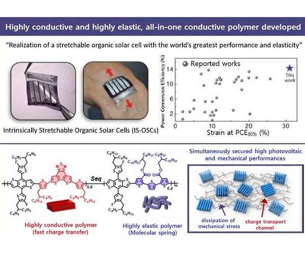 KAIST unveils high-efficiency, stretchable organic solar cells