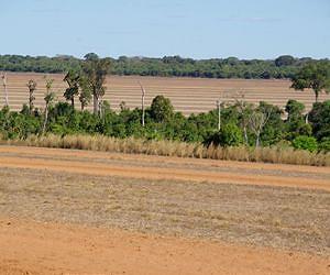 Deep, Permeable Soils Buffer Impacts of Agricultural Fertilization on Streams and Rivers in Southern Amazon