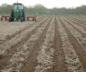 New Farming Method To Reduce Greenhouse Gases, Increase Farm Yields