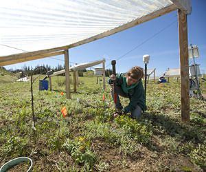 Studying soil to predict the future of earth's atmosphere