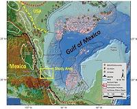Gulf of Mexico a short-term bright spot for oil