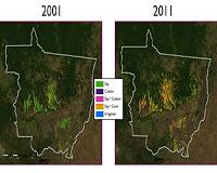 Land quality and deforestation rate in Brazil