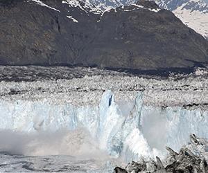 Disappearing Glaciers Enhanced Biodiversity