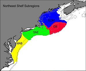 Sea Surface Temperatures Reach Highest Level in 150 Years on Northeast Continental Shelf