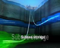 Britain wants to develop CO2 'capture' knowhow: minister