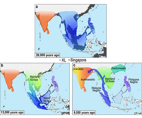 Prehistoric human migration in Southeast Asia driven by sea-level rise, NTU Singapore study reveals