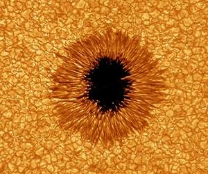 Amazing New Sun Images From NJIT's Big Bear Solar Observatory