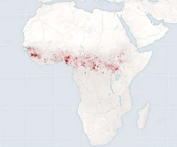 IncreasingAfrican tropical forest fires linked to climate change and deforestation