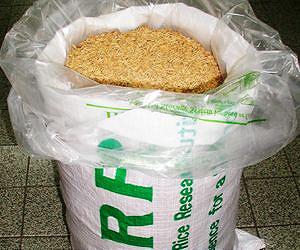 Scientists sound new warning for arsenic in rice