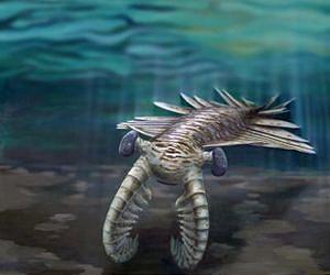 First super predator had remarkable vision