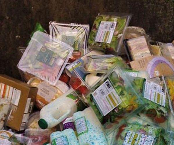 Illinois team creates aviation fuel from food waste with circular economy benefits