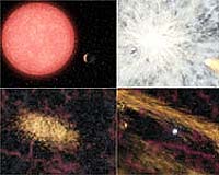 Metal magic: Nickel kick-started evolution, suggests study
