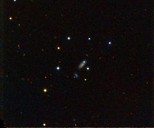 Supernovae of the same brightness, cut from vastly different cosmic cloth