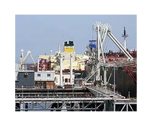 Iran denies buying ship from Israel firm