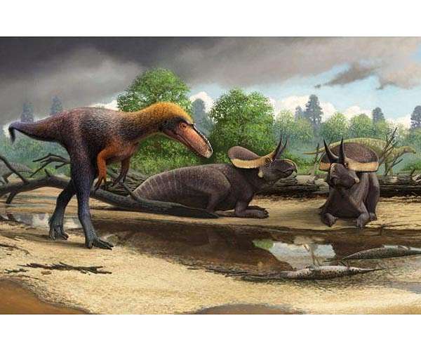 Juvenile T. rexes had powerful bite, but much less forceful than elders