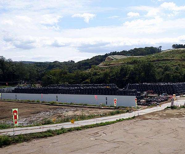 Japan suspends trial removal of Fukushima nuclear debris