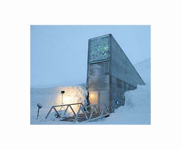 Palestinian seeds join Arctic 'doomsday vault'