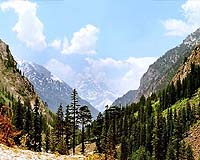 Pakistan army vows to clear Swat valley of militants
