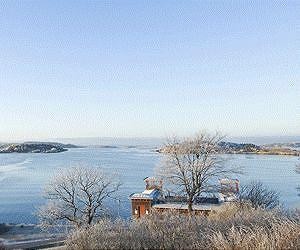 Sweden's only coral reef at risk of dying