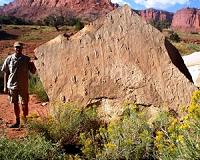 Swimming reptiles make their mark in the Early Triassic