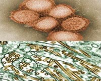Boosting Biosafety