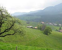 Climate change threatens quarter of Swiss farmland: research