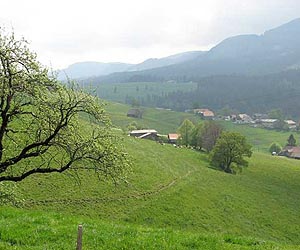 From Berlin, Swiss expats fight government