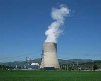 AREVA NP installs a system allowing flexible electricity generation at Goesgen nuclear power plant