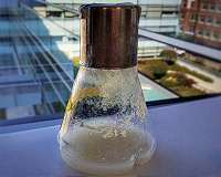To find new biofuel enzymes, it can take a microbial village