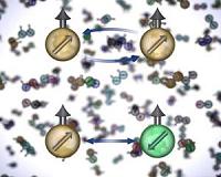 Measurement of a single nuclear spin in biological samples
