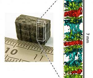 New synchrotron technique could see hidden building blocks of life