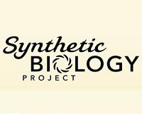 Illinois researchers develop gene circuit design strategy to advance synthetic biology