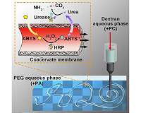 Scientists build a synthetic system to improve wound treatment, drug delivery for soldiers
