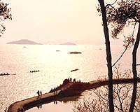 Arsenic pollutes scenic lake in China: state media