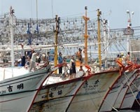 Taiwan fishing industry 'out of control': Greenpeace