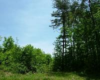 Ecological restoration success higher with natural measures