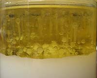 Researchers Investigate Supercritical Method Of Converting Chicken Fat And Tall Oil Fatty Acid Into Biodiesel