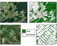 Global TanDEM-X forest map is available
